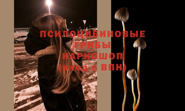 дурь Армянск