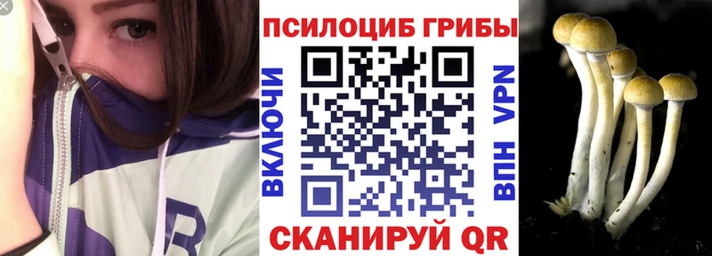 купить закладку  Зеленокумск  Галлюциногенные грибы Psilocybe 